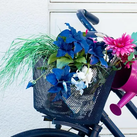 Apartman Modrin Kamnik