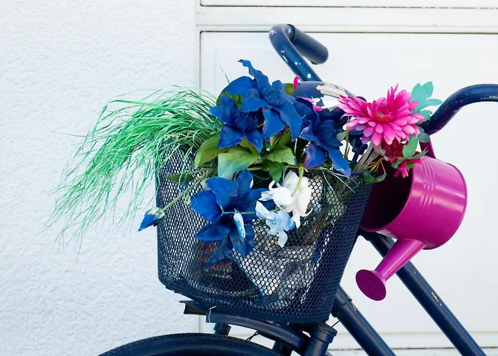 Apartment Modrin Kamnik